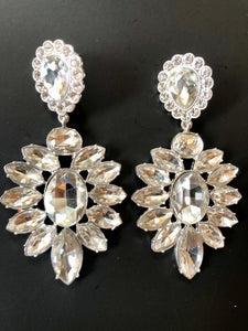 Silver Flower Crystal Earrings